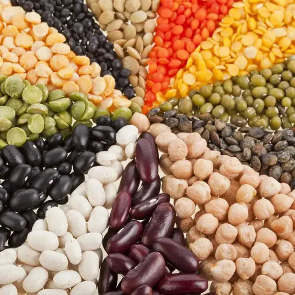 Haricots secs et lentilles