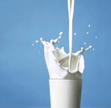 Crème de lait