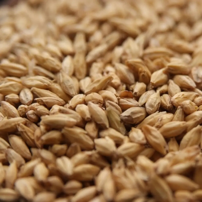 Malt Brewers 2 Row - 25 Kg