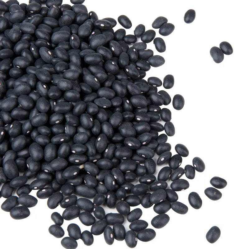 Bulk Black Turtle Beans Dried 