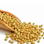 Bulk Dried Coriander seeds 