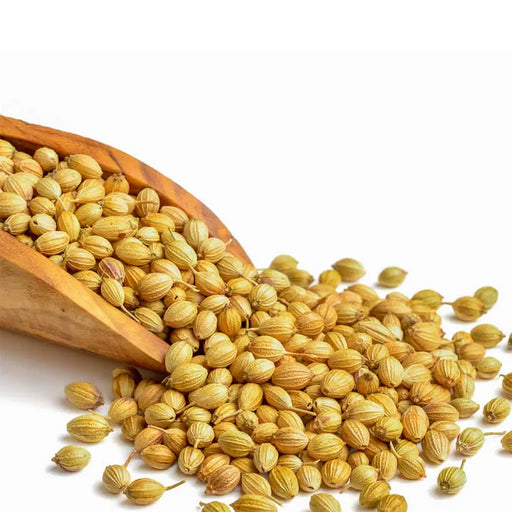 Bulk Dried Coriander seeds 