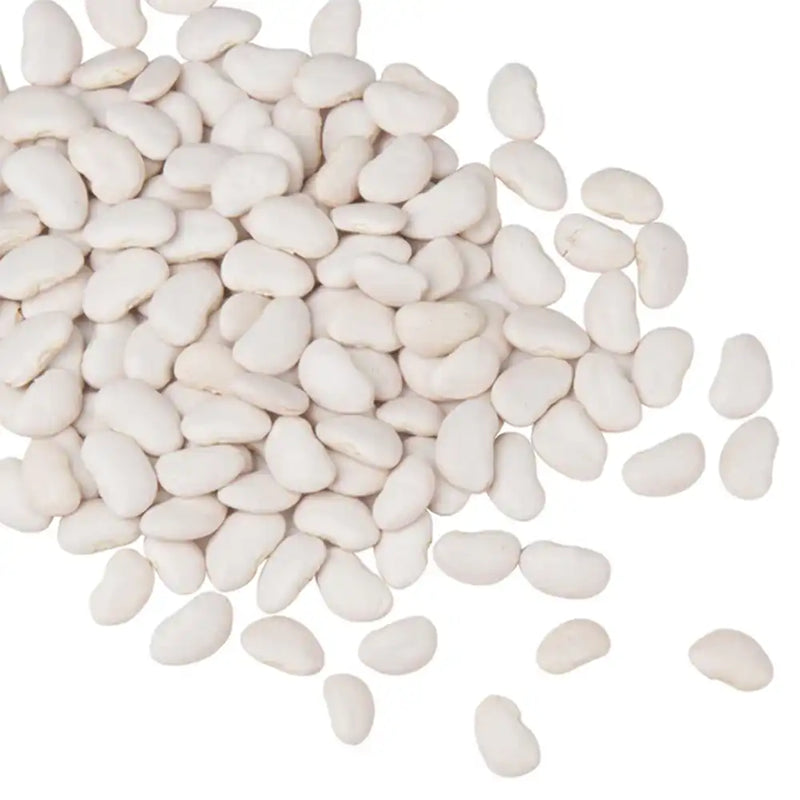 Dried Large Lima Bean