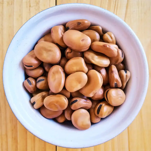 Medium Fava Beans good quality