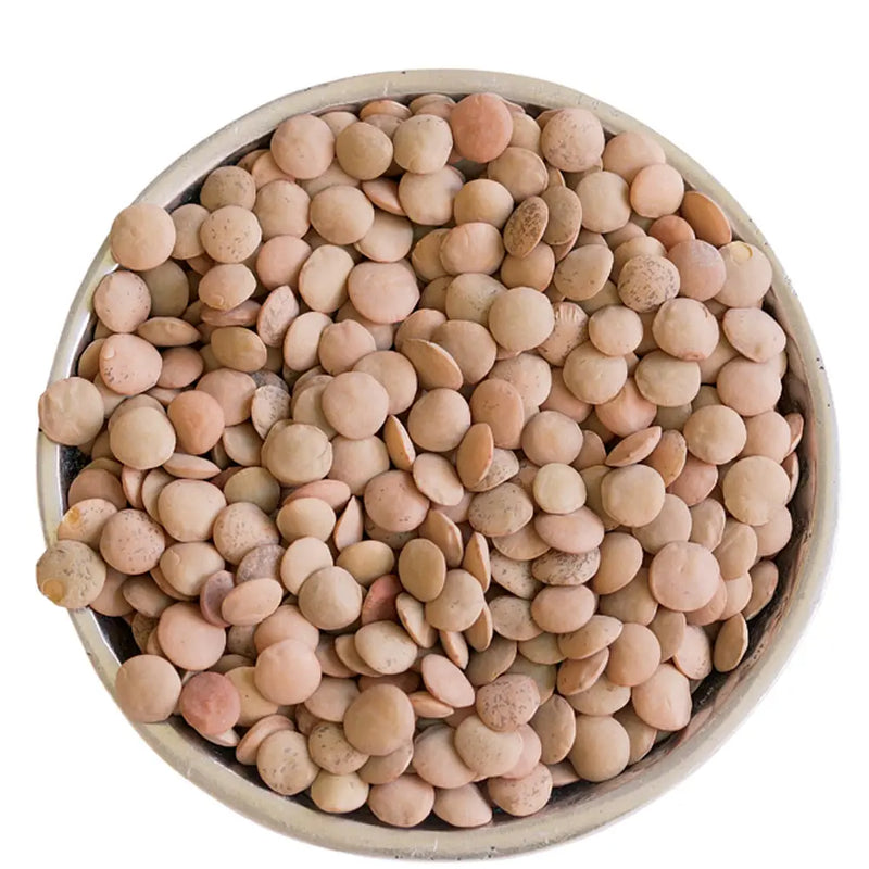 Clic - Lentilles brunes entières - Masoor entières - 25 kg