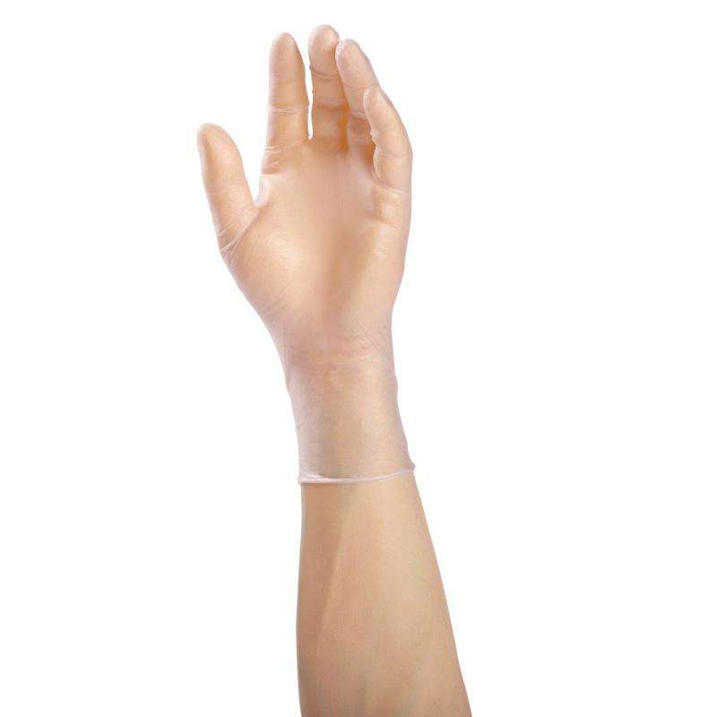 Safety Zone - Vinyl Gloves Large Powder Free - 20 x 100 / Case - Bulk Mart